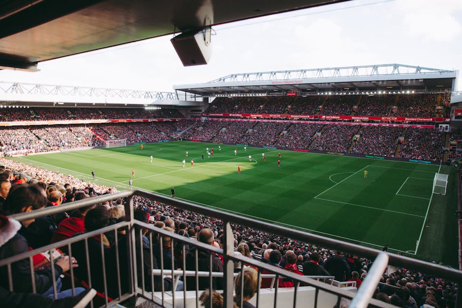 Inside a large stadium with a view of the football pitch, there are several large circular banners placed on the grass, with some featuring logos and others blank, held down by individuals wearing light-colored clothing. The seating surrounding the field is filled with spectators, and the stadium's roof structure arches overhead, allowing natural light to illuminate the scene. Along the edges of the field, there are various items such as cardboard boxes, plastic-wrapped packages, and pieces of furniture being carefully positioned or moved, likely as part of a home relocation or event setup process. Equipment like trolleys and straps are visible as movers assist with loading or unloading items. A van or removal truck is parked nearby, with its rear doors open, ready for furniture transport. The overall scene depicts a professional moving operation, possibly by Removal Companies Twickenham, preparing the stadium for a special match day event or community activity, highlighting logistics involved in large-scale removals or furniture transport within a stadium environment.